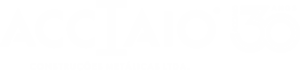 Logo Acciaio